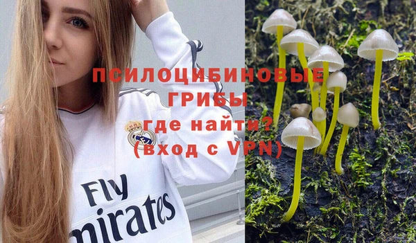 твердый Лабытнанги